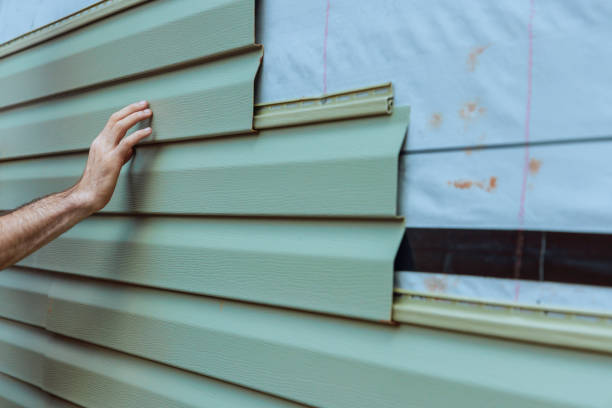 Best Brick Veneer Siding  in Ipswich, SD